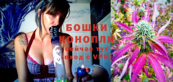 твердый Гусиноозёрск