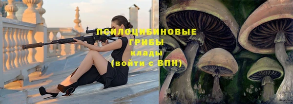 твердый Гусиноозёрск