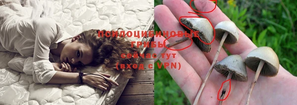 COCAINE Гусев