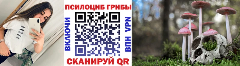 Купить закладки  Ивантеевка  Псилоцибиновые грибы Cubensis 